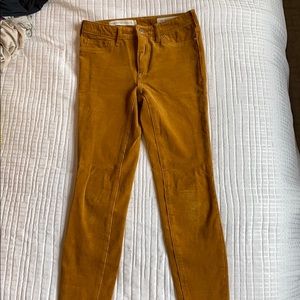Anthropology corduroy pants